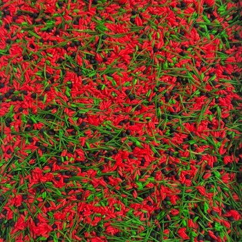 BIZY-BIZY SENSORAIS MAISĪJUMS, SENSORO SPĒĻU BĀZE- OUWKIDS