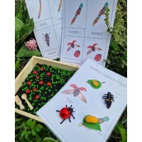 Sensory Play Set LadyBug Life Cycle - OUWAKIDS