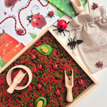 MĀRĪTES DZĪVES STĀSTS, SENSORO SPĒĻU KOMPLEKTS - OUWKIDS