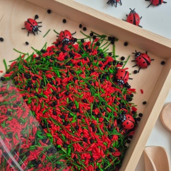 BIZY-BIZY SENSORAIS MAISĪJUMS, SENSORO SPĒĻU BĀZE- OUWKIDS