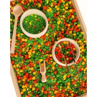 MAZA KOKA BĻODIŅA - OUWAKIDS