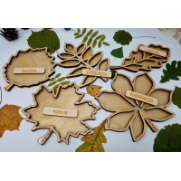 Sensoro Dēlīšu Komplekts Rudens Lapas 