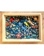Sensoro Rotaļu Komplekts Ocean Life - OUWAKIDS