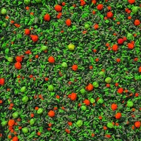 DINO STORY, SENSORY PLAY FILLER - OUWKIDS