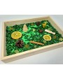 Sensoro Rotaļu Komplekts Green Dream - OUWAKIDS
