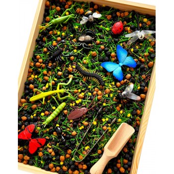 SĪKBŪTŅU PASAULE, SENSORO ROTAĻU KOMPLEKTS - OUWAKIDS