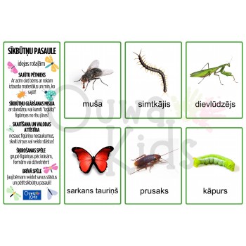 SĪKBŪTŅU PASAULE, SENSORO ROTAĻU KOMPLEKTS - OUWAKIDS