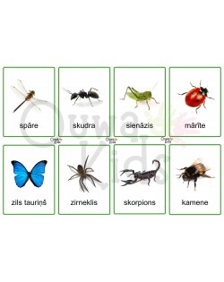SĪKBŪTŅU PASAULE, SENSORO ROTAĻU KOMPLEKTS - OUWAKIDS
