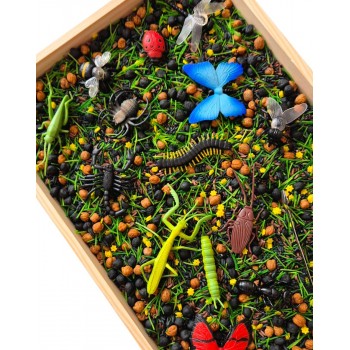 SĪKBŪTŅU PASAULE, SENSORO ROTAĻU KOMPLEKTS - OUWAKIDS