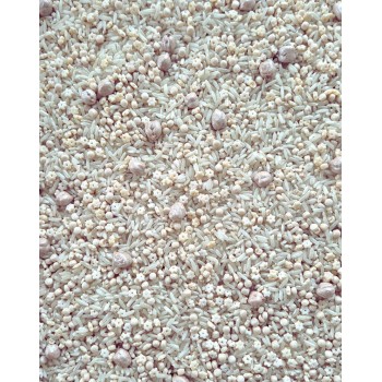 SNIEGA PASAKA, SENSORO SPĒĻU BĀZE, MAISĪJUMS - OUWAKIDS