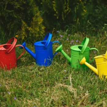 Metāla Lejkanna Bērniem - WOODY