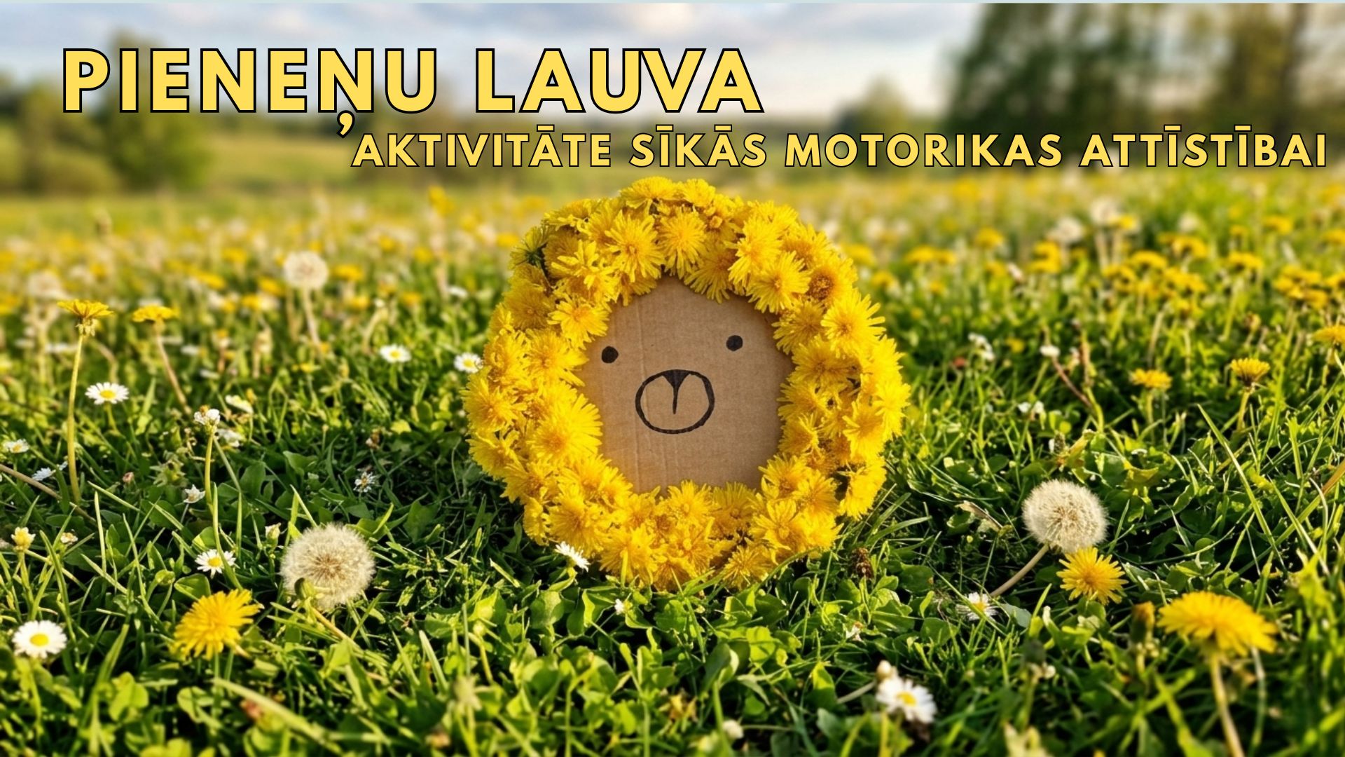https://ouwakids.lv/image/cache/catalog/blog/ouwakids%20blogs/PIENenes%20lauva-1920x1080.jpg