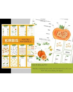 DIGITĀLS MĀCĪBU MATERIĀLS ĶIRBIS 30 LAPAS - OUWAKIDS