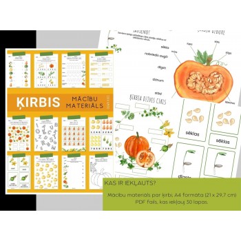 DIGITAL LEARNING MATERIAL PUMPKIN 30 PAGES - OUWAKIDS