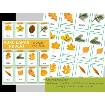 TREE LEAVES IN AUTUMN 3-PART CARDS, DIGITAL MATERIAL - OUWAKIDS TREE LEAVES IN AUTUMN 3-PART CARDS, DIGITAL MATERIAL - OUWAKIDS
