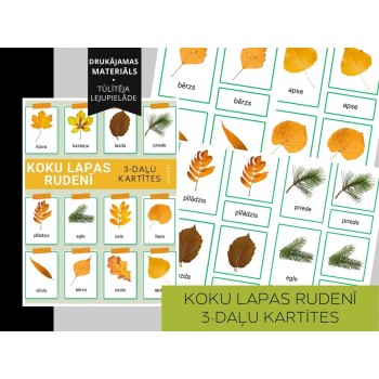 TREE LEAVES IN AUTUMN 3-PART CARDS, DIGITAL MATERIAL - OUWAKIDS TREE LEAVES IN AUTUMN 3-PART CARDS, DIGITAL MATERIAL - OUWAKIDS