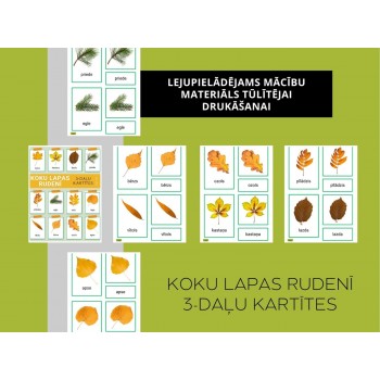 TREE LEAVES IN AUTUMN 3-PART CARDS, DIGITAL MATERIAL - OUWAKIDS TREE LEAVES IN AUTUMN 3-PART CARDS, DIGITAL MATERIAL - OUWAKIDS