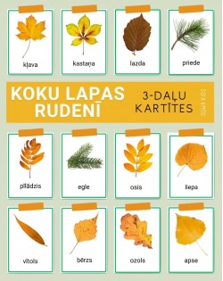 KOKU LAPAS RUDENĪ 3-DAĻU KARTĪTES, DIGITĀLS MATERIĀLS - OUWAKIDS