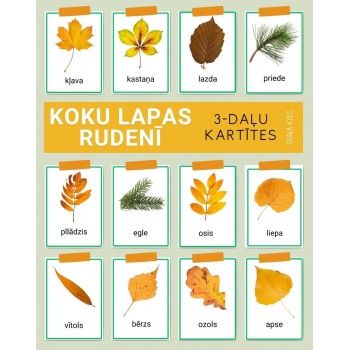 TREE LEAVES IN AUTUMN 3-PART CARDS, DIGITAL MATERIAL - OUWAKIDS TREE LEAVES IN AUTUMN 3-PART CARDS, DIGITAL MATERIAL - OUWAKIDS