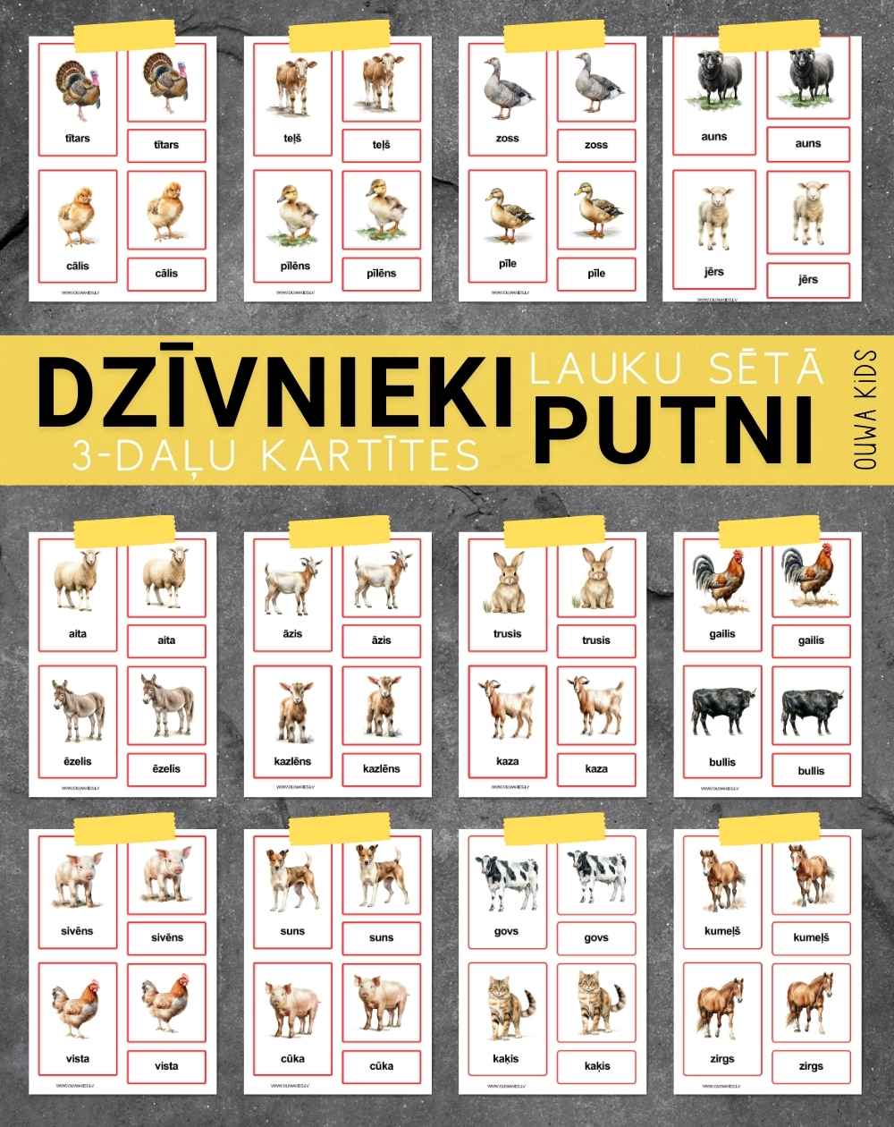 DZĪVNIEKI UN PUTNI LAUKU SĒTĀ, MAZIE UN LIELIE BURTI, DIGITĀLS MATERIĀLS - OUWAKIDS DZĪVNIEKI UN PUTNI LAUKU SĒTĀ, MAZIE UN LIELIE BURTI, DIGITĀLS MATERIĀLS - OUWAKIDS