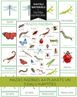 "Mazās Radības" A4 Plakāts Un 3-Daļu Kartītes - OUWAKIDS