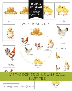 Vistas Dzīves Cikls Un 3-Daļu Kartītes - OUWAKIDS