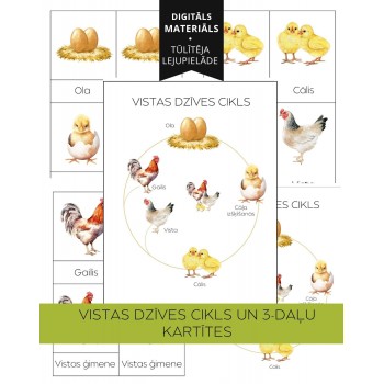Chicken Life Cycle and 3-Part Cards - OUWAKIDS