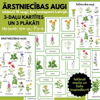 ĀRSTNIECĪBAS AUGI, 3-DAĻU KARTĪTES, PLAKĀTS, DIGITĀLS MATERIĀLS - OUWAKIDS