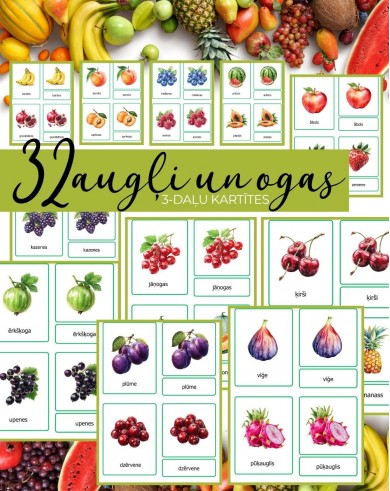  3-DAĻU KARTĪTES AUGĻI UN OGAS, DIGITĀLS MATERIĀLS - OUWAKIDS