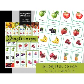 3-DAĻU KARTĪTES AUGĻI UN OGAS, DIGITĀLS MATERIĀLS - OUWAKIDS