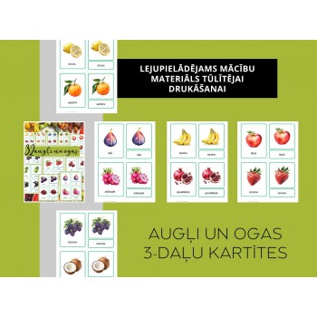 3-DAĻU KARTĪTES AUGĻI UN OGAS, DIGITĀLS MATERIĀLS - OUWAKIDS