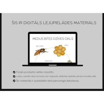 Honey Bee Life Cycle, Anatomy and 3-Part Cards - OUWAKIDS