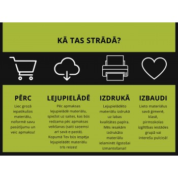 Honey Bee Life Cycle, Anatomy and 3-Part Cards - OUWAKIDS