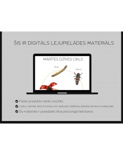 Mārītes Dzīves Cikls Un 3-Daļu Kartītes - OUWAKIDS