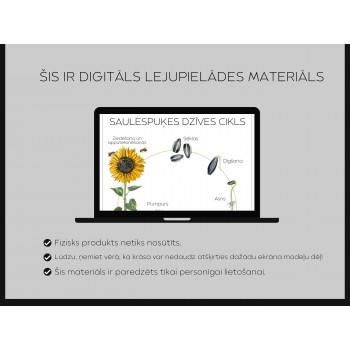 Sunflower Life Cycle and 3-Part Cards - OUWAKIDS