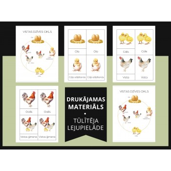 Chicken Life Cycle and 3-Part Cards - OUWAKIDS