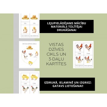 Chicken Life Cycle and 3-Part Cards - OUWAKIDS