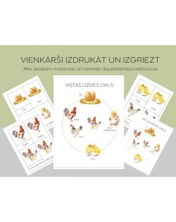 Vistas Dzīves Cikls Un 3-Daļu Kartītes - OUWAKIDS