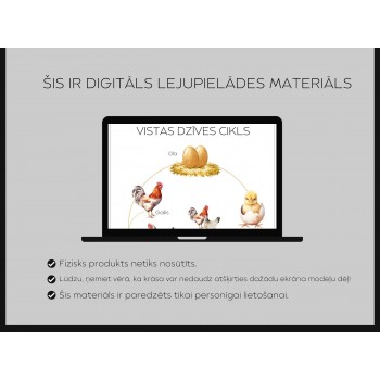 Chicken Life Cycle and 3-Part Cards - OUWAKIDS