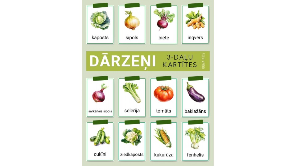  3-DAĻU KARTĪTES DĀRZEŅI, DIGITĀLS MATERIĀLS - OUWAKIDS