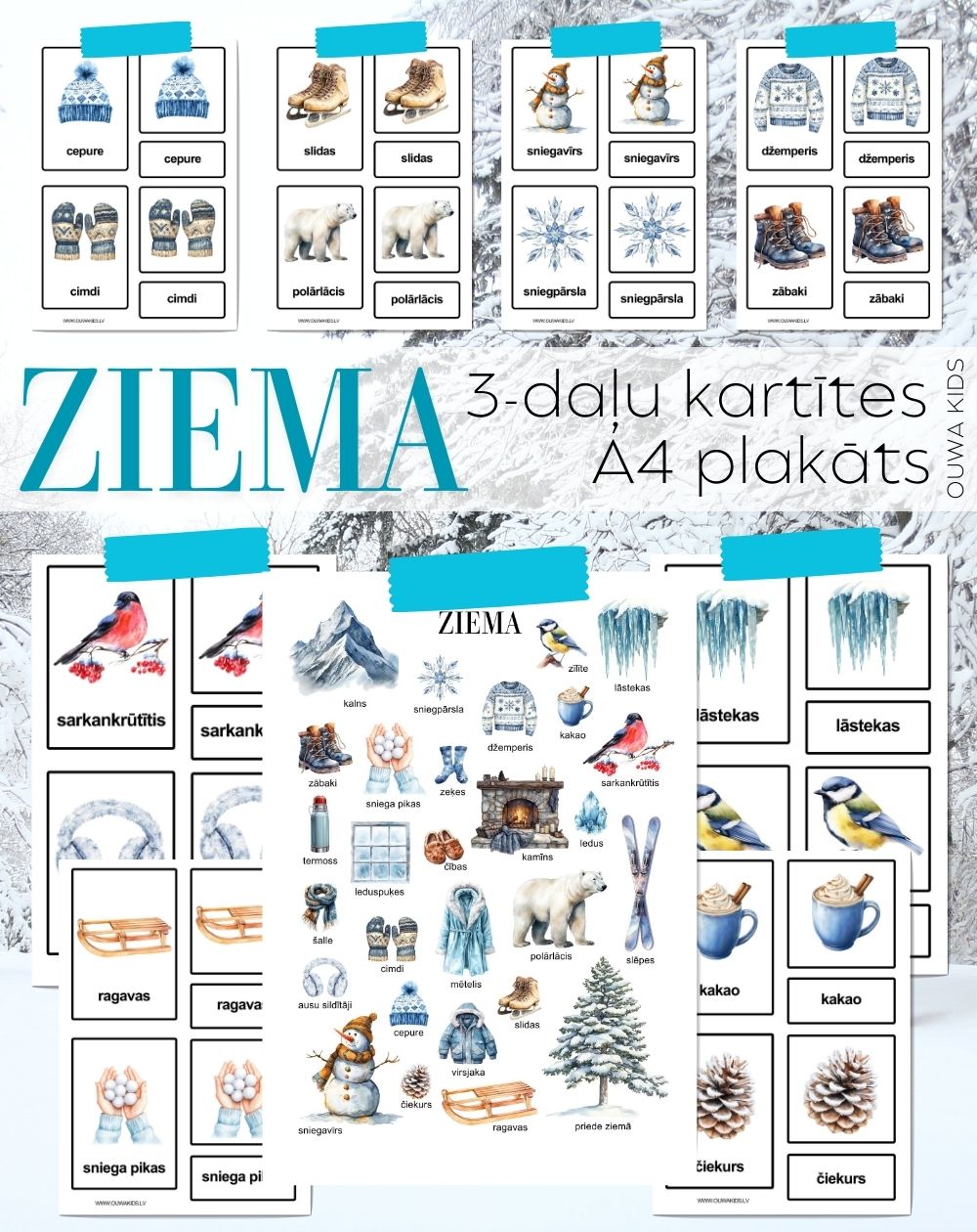 ZIEMA, PLAKĀTS UN 3-DAĻU KARTĪTES, ATGĀDNES, DIGITĀLS MATERIĀLS - OUWAKIDS