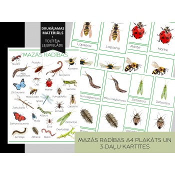 Small Creatures A4 Poster and 3-Part Cards - OUWAKIDS