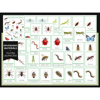 Small Creatures A4 Poster and 3-Part Cards - OUWAKIDS