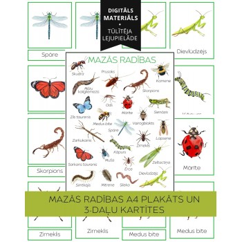 Small Creatures A4 Poster and 3-Part Cards - OUWAKIDS