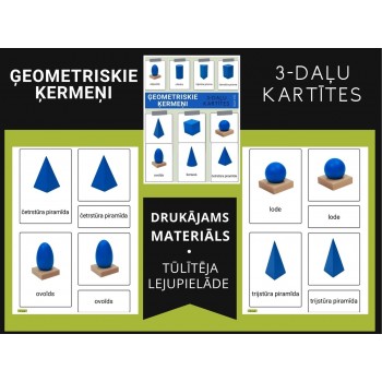 GEOMETRIC SHAPES 3-PART CARDS, DIGITAL MATERIAL - OUWAKIDS