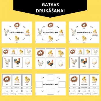 VISTAS DZĪVES CIKLS, DIGITĀLS MATERIĀLS - OUWAKIDS VISTAS DZĪVES CIKLS, DIGITĀLS MATERIĀLS - OUWAKIDS