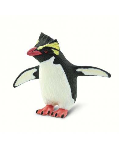 Rockhopper Pingvīns - SAFARI Ltd.