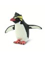 Rockhopper Pingvīns - SAFARI Ltd.
