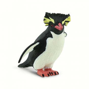 Rockhopper Pingvīns Rockhopper Pingvīns