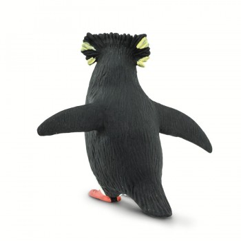 Rockhopper Pingvīns Rockhopper Pingvīns